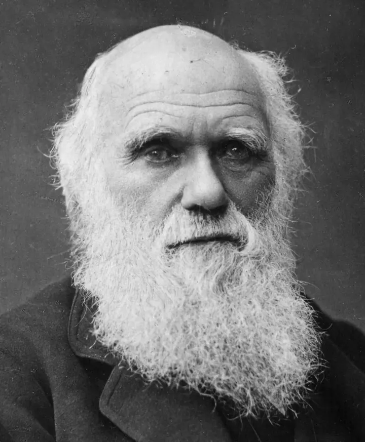 Anglikánská a Katolická církev: "Stojíme za Darwinem"