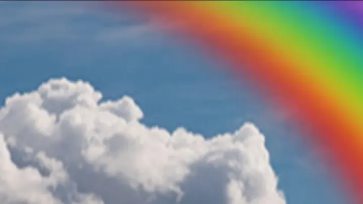Rozhovor s Bohem (video)