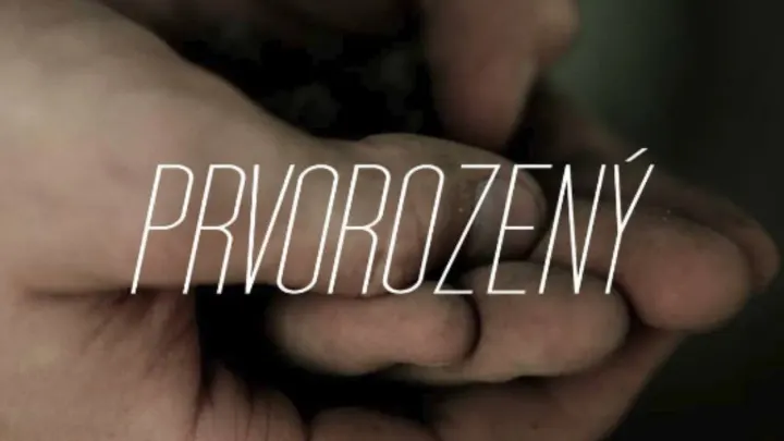 Prvorozený (video)