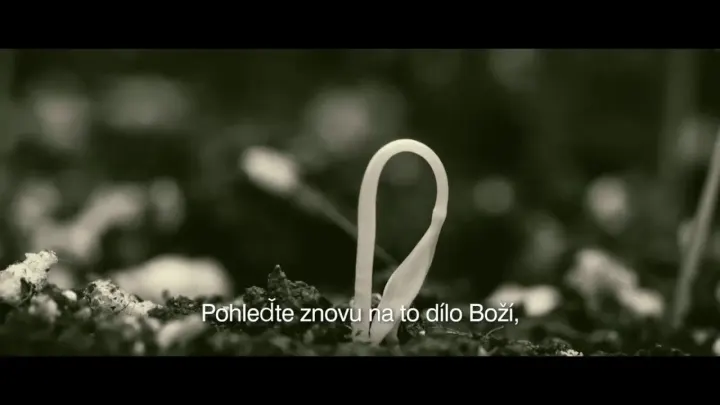 Bůh je naše útočiště (video)